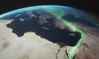 Flamingo mit Sender in den Anden; RAVEN-Satellit in 520 km Höhe